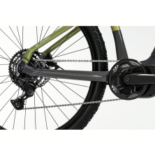 GHOST E-Teru Black Eel/Cactus Glossy