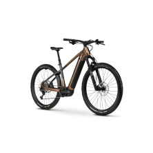 GHOST E-Teru Pro Old Copper/Darkened Steel Glossy