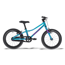AMULET 16 TOMCAT Celeste Blue/Purple