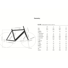 LOOK AL464 P Proteam Black Glossy Track Alex Wheel Track