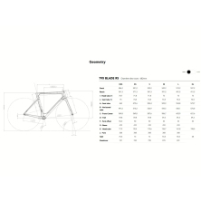 LOOK 795 Blade 2 RS Ultegra Di2 Pro Team Black / R50D
