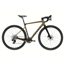 PELLS Raw Carbon 2 Dijon Gold