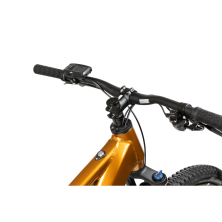 PELLS Thorr Panasonic 2 Sunset Orange